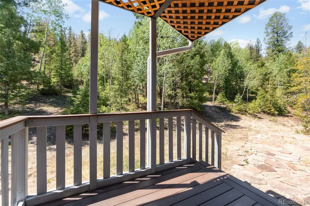 9790 S Warhawk Road Conifer CO 80433