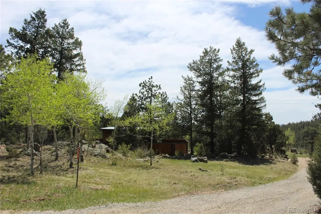 234 Panorama Drive Bailey CO 80421