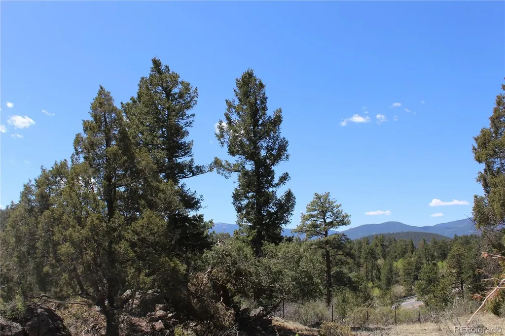 234 Panorama Drive Bailey CO 80421