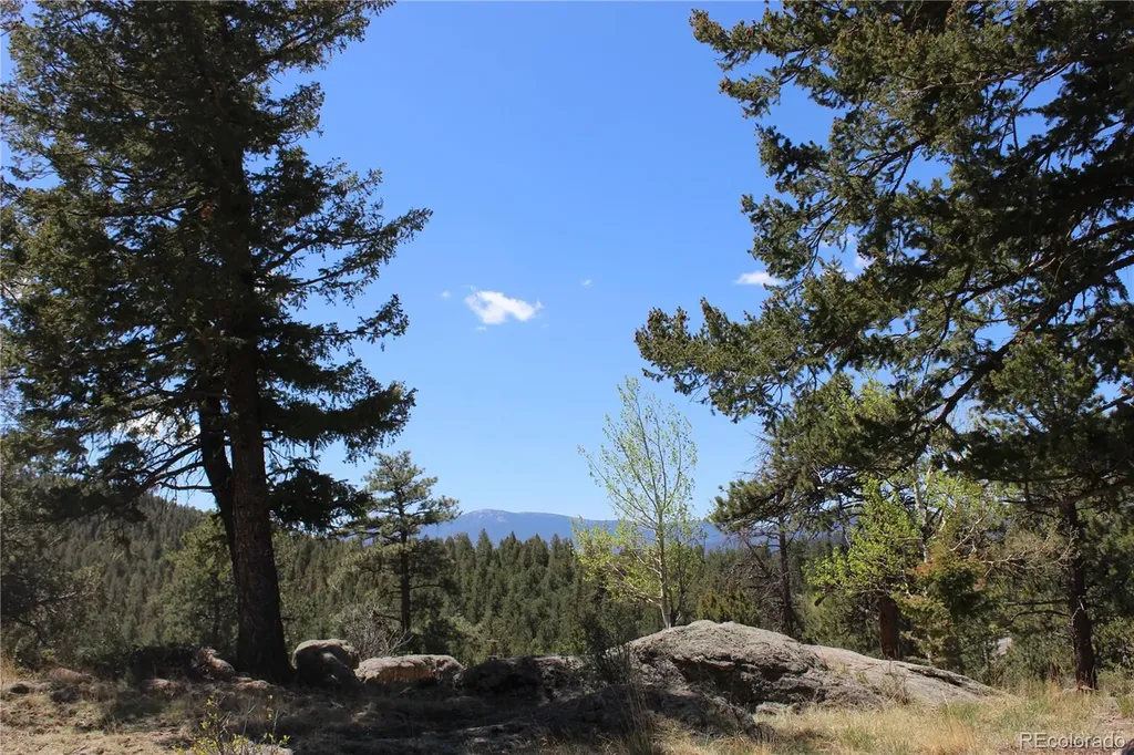 234 Panorama Drive Bailey CO 80421