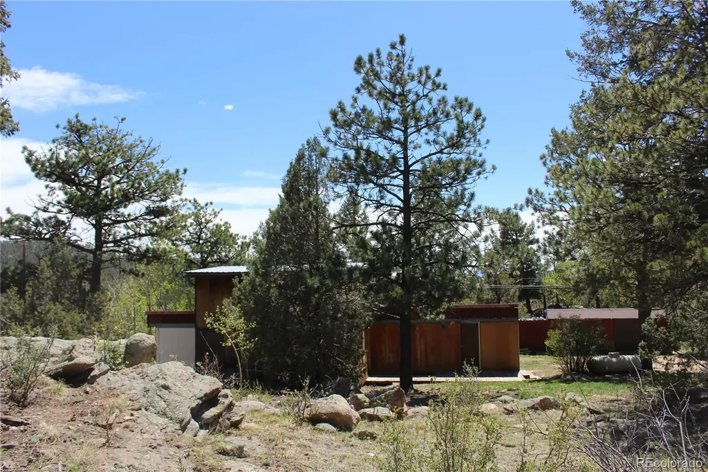 234 Panorama Drive Bailey CO 80421