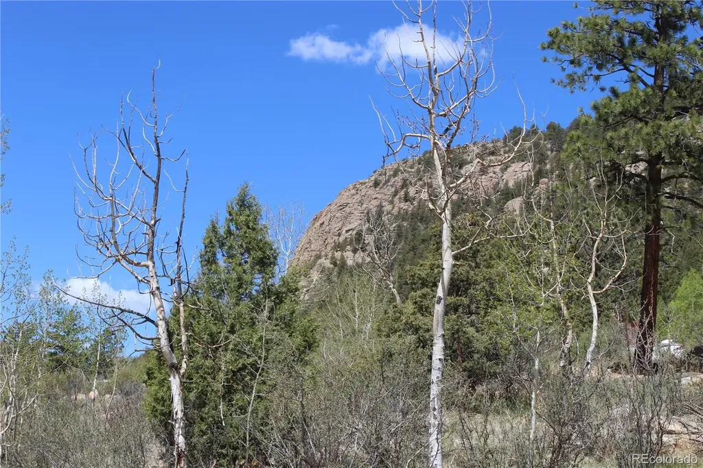 234 Panorama Drive Bailey CO 80421