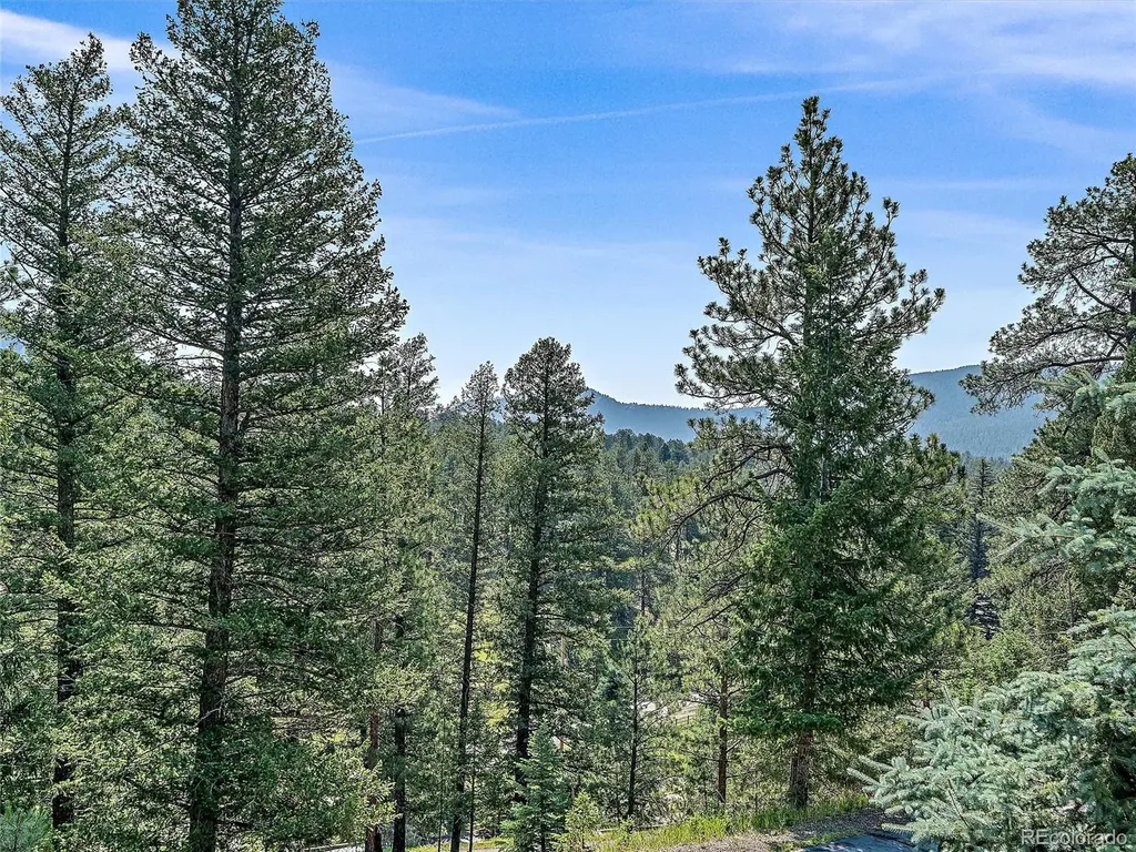 675 Witter Gulch Road Evergreen CO 80439