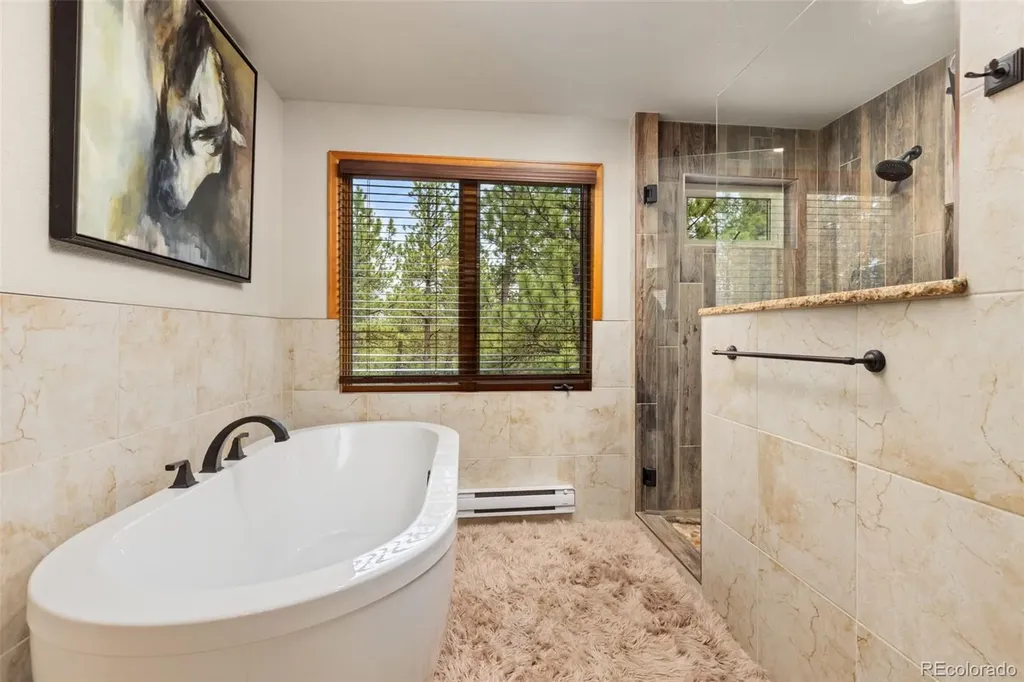 1734 Mount Evans Boulevard Pine CO 80470