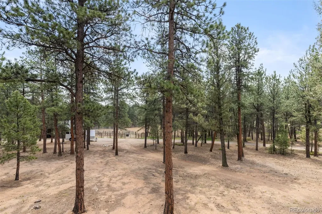 1734 Mount Evans Boulevard Pine CO 80470
