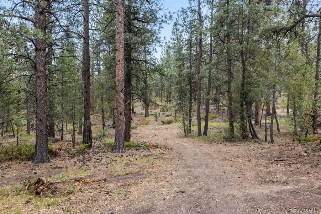 1734 Mount Evans Boulevard Pine CO 80470