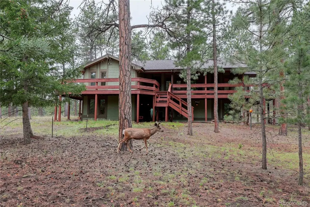 4490 Red Rock Drive Larkspur CO 80118