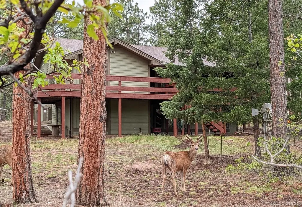 4490 Red Rock Drive Larkspur CO 80118