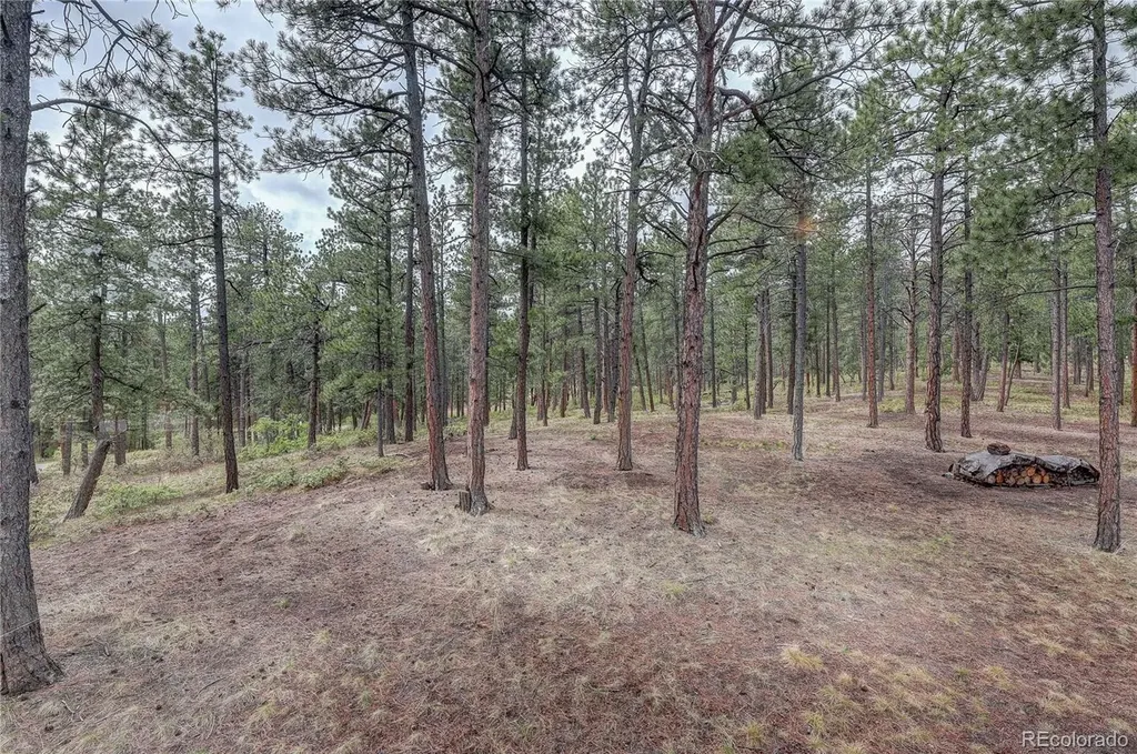 4490 Red Rock Drive Larkspur CO 80118
