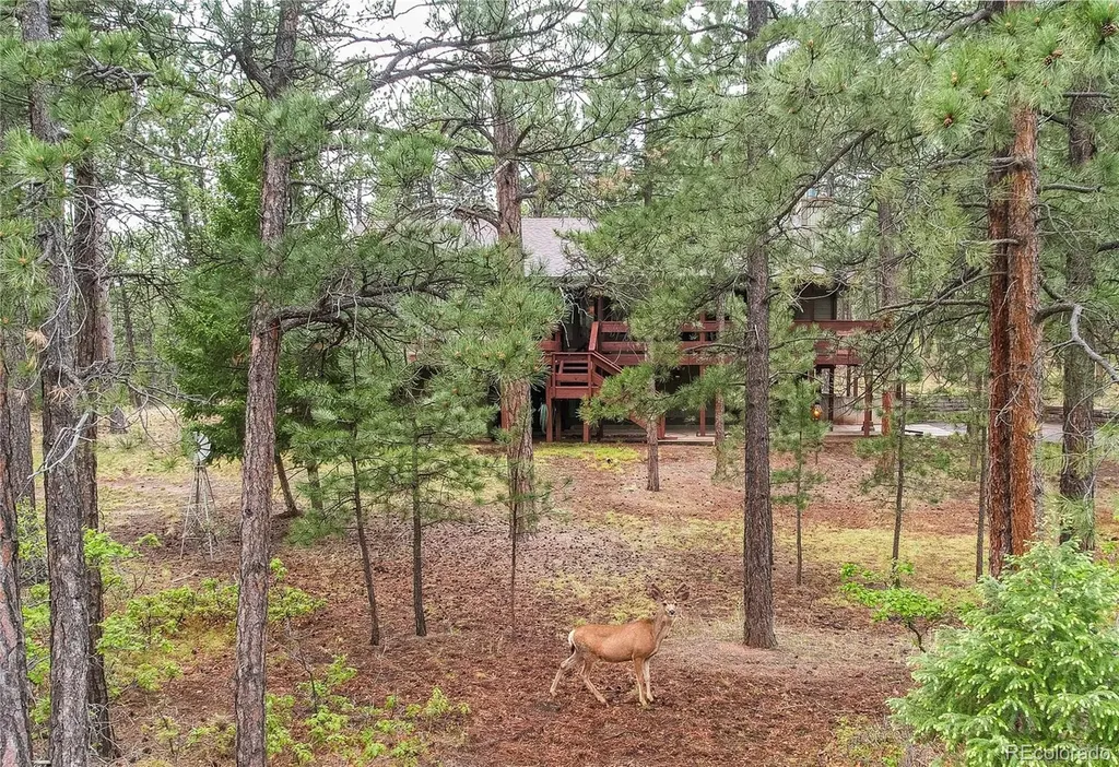 4490 Red Rock Drive Larkspur CO 80118