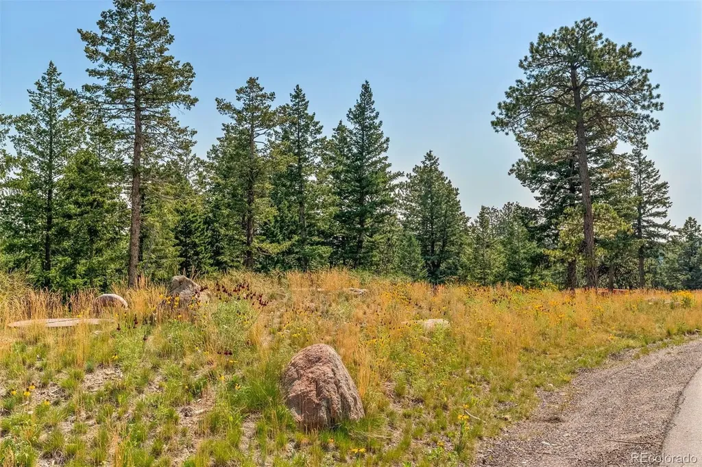 6371 Canyon Creek Road Evergreen CO 80439