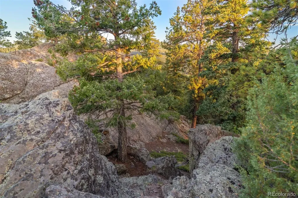 6371 Canyon Creek Road Evergreen CO 80439