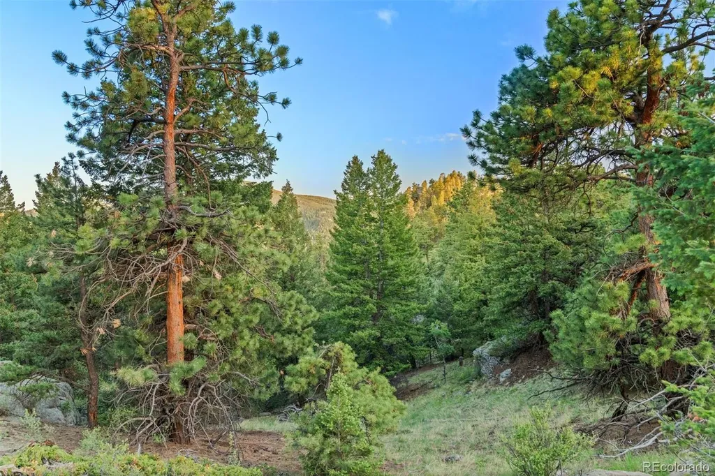 6371 Canyon Creek Road Evergreen CO 80439