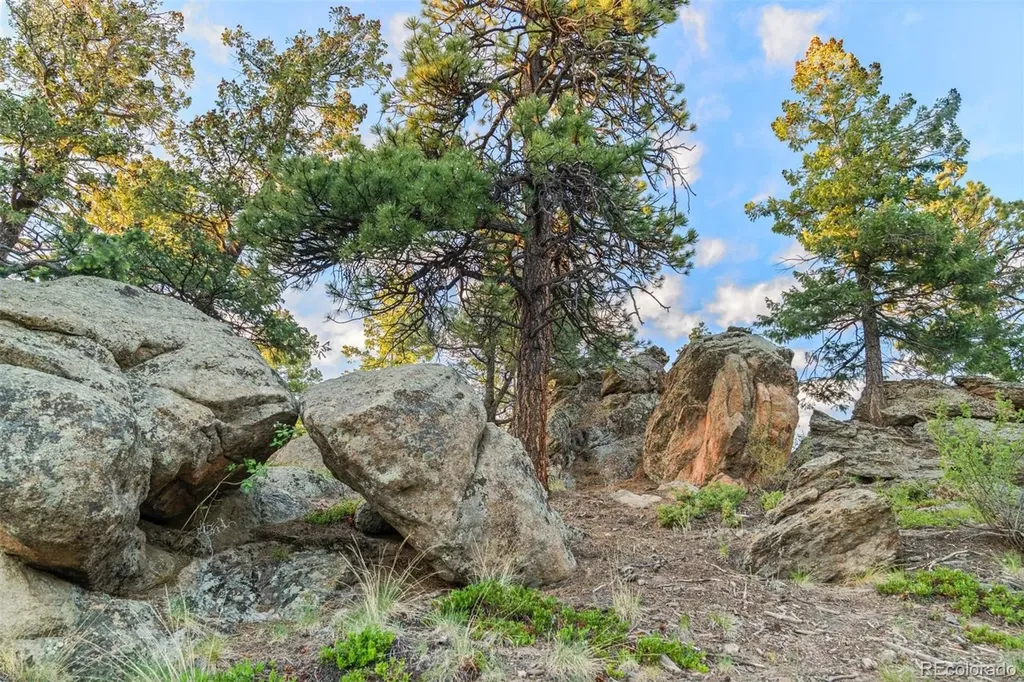 6371 Canyon Creek Road Evergreen CO 80439