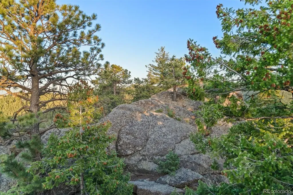6371 Canyon Creek Road Evergreen CO 80439