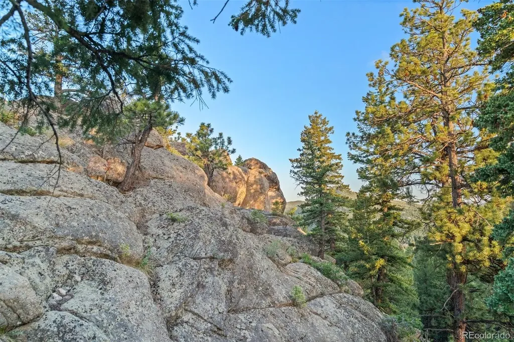 6371 Canyon Creek Road Evergreen CO 80439