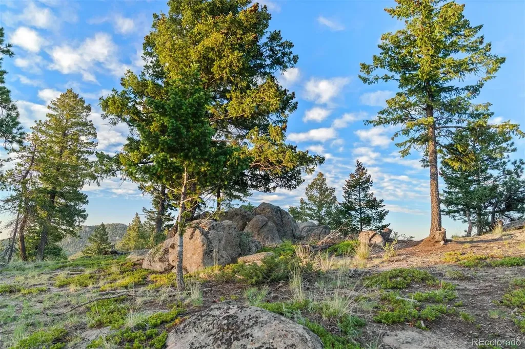 6371 Canyon Creek Road Evergreen CO 80439