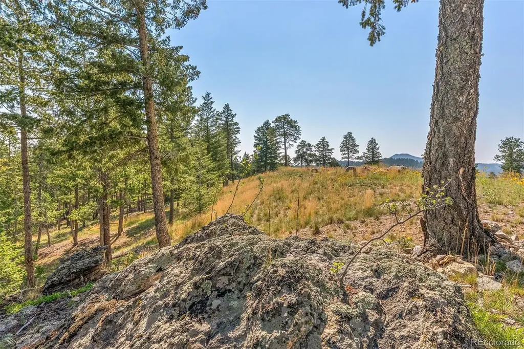 6371 Canyon Creek Road Evergreen CO 80439
