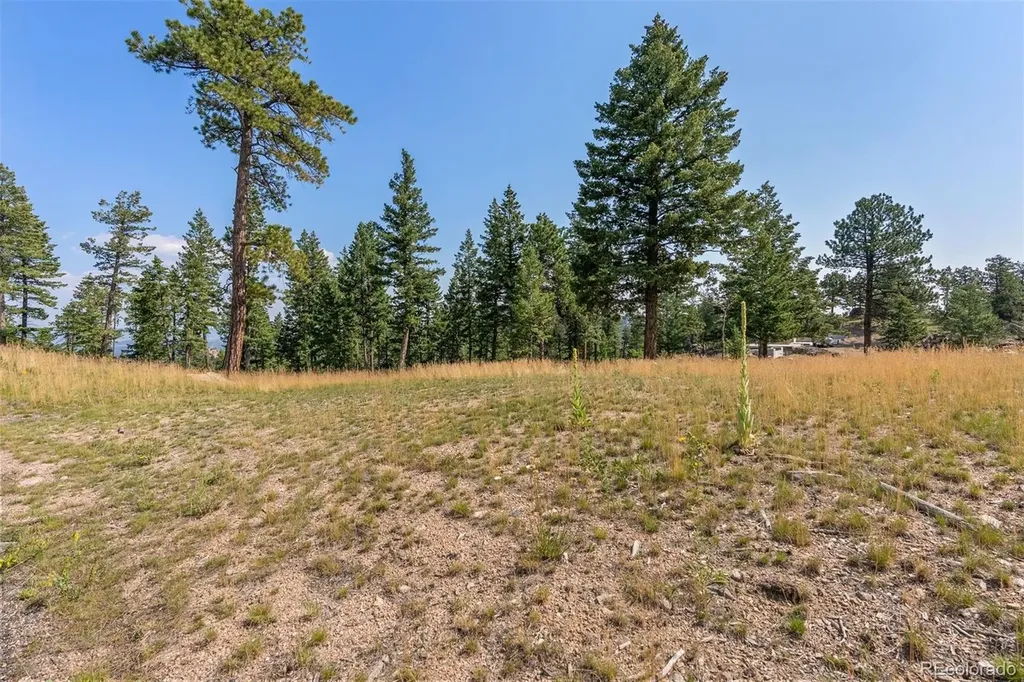 6371 Canyon Creek Road Evergreen CO 80439