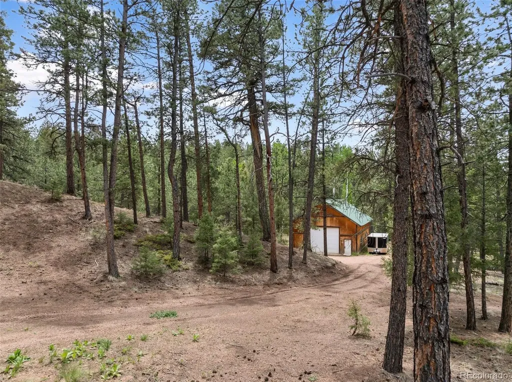 918 Douglas Fir Drive Woodland Park CO 80863