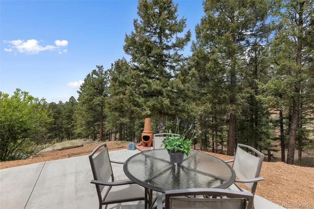 918 Douglas Fir Drive Woodland Park CO 80863