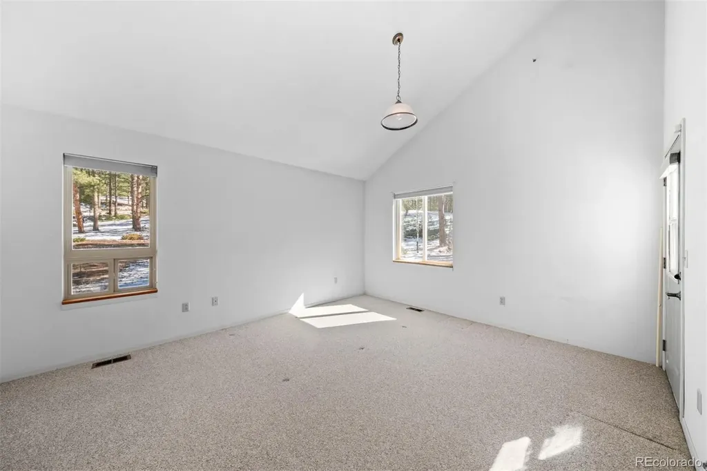 20202 Spring Creek Trail Pine CO 80470