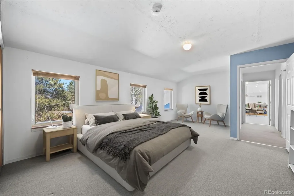 20202 Spring Creek Trail Pine CO 80470