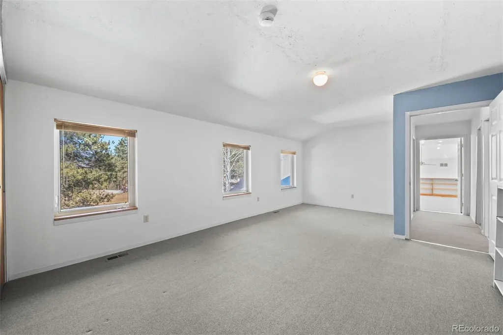 20202 Spring Creek Trail Pine CO 80470