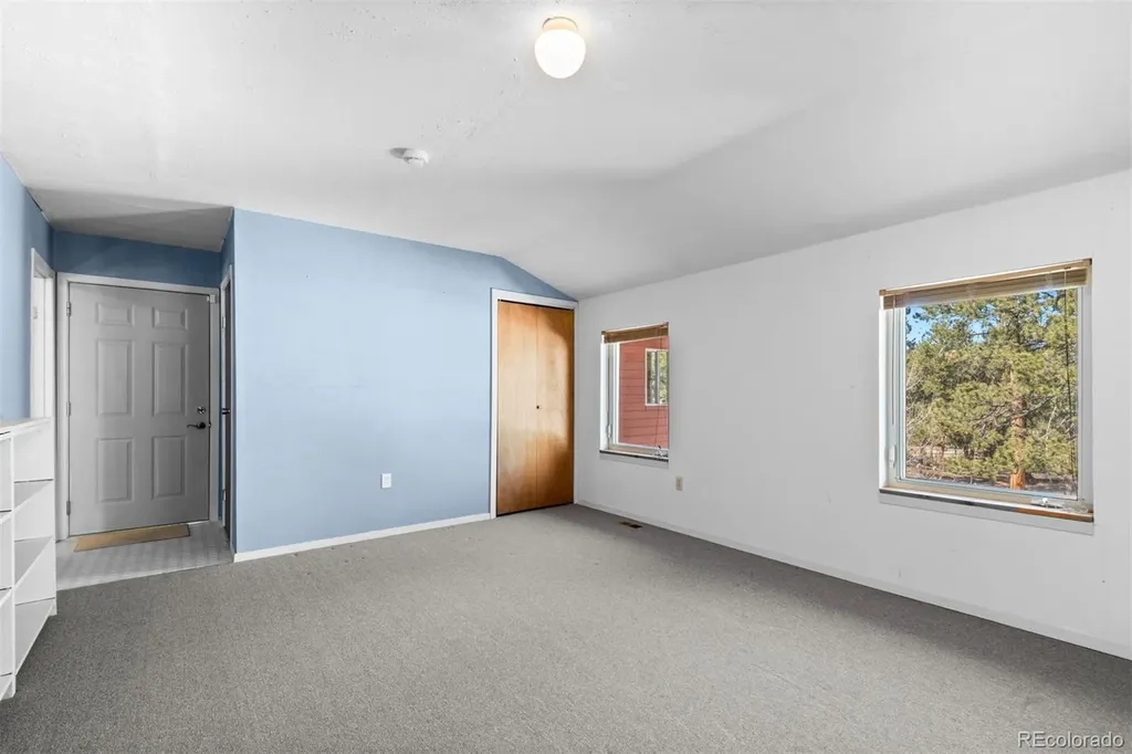 20202 Spring Creek Trail Pine CO 80470
