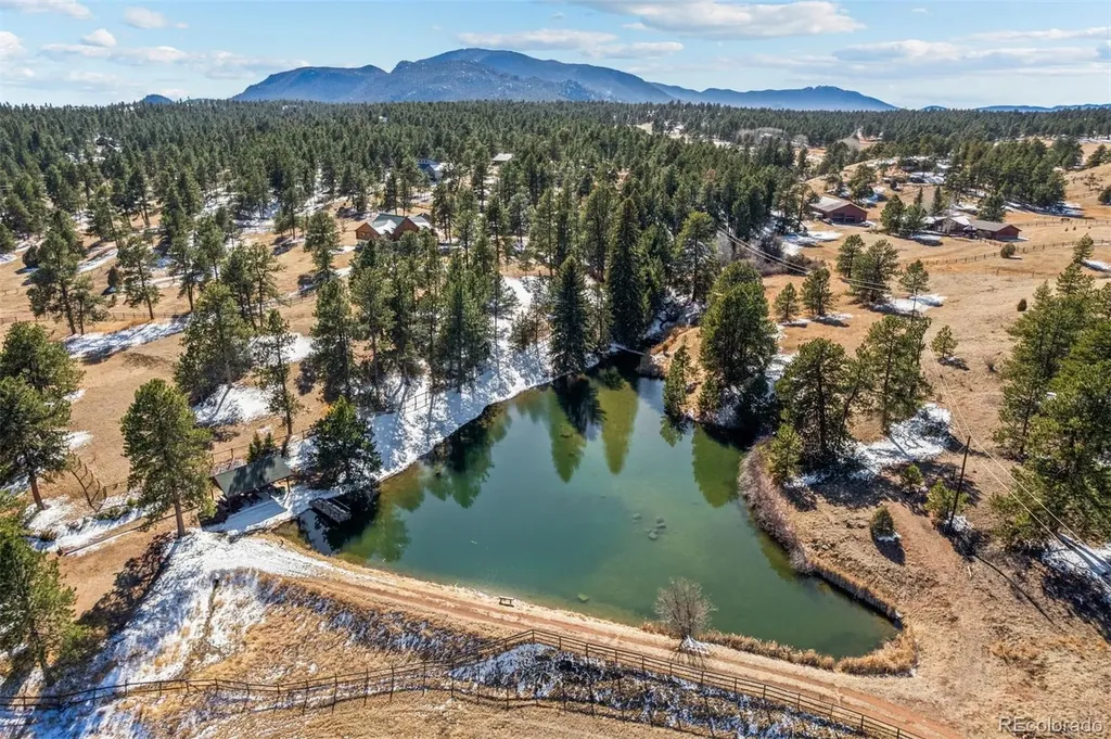 20202 Spring Creek Trail Pine CO 80470