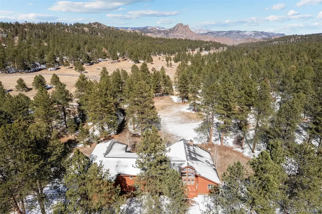 20202 Spring Creek Trail Pine CO 80470