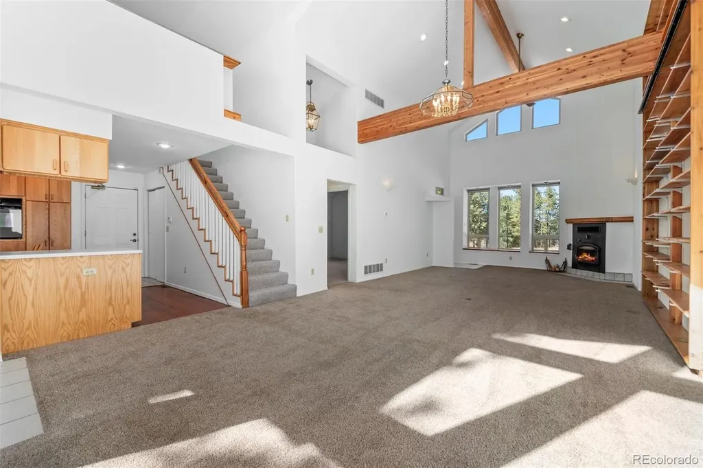 20202 Spring Creek Trail Pine CO 80470