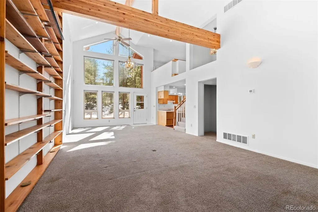 20202 Spring Creek Trail Pine CO 80470