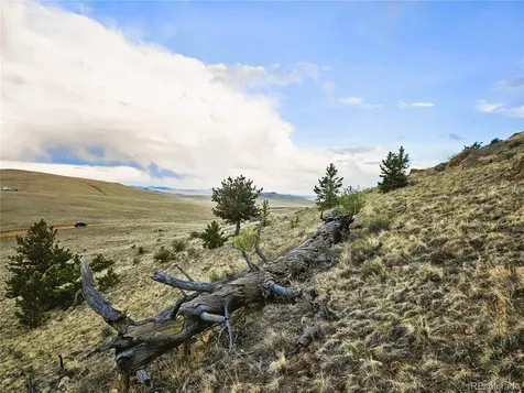 PCS#25468 Sioux Road Hartsel CO 80449