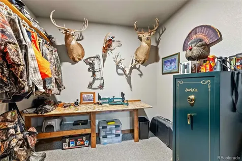 1310 Sunrise Ridge Cotopaxi CO 81223