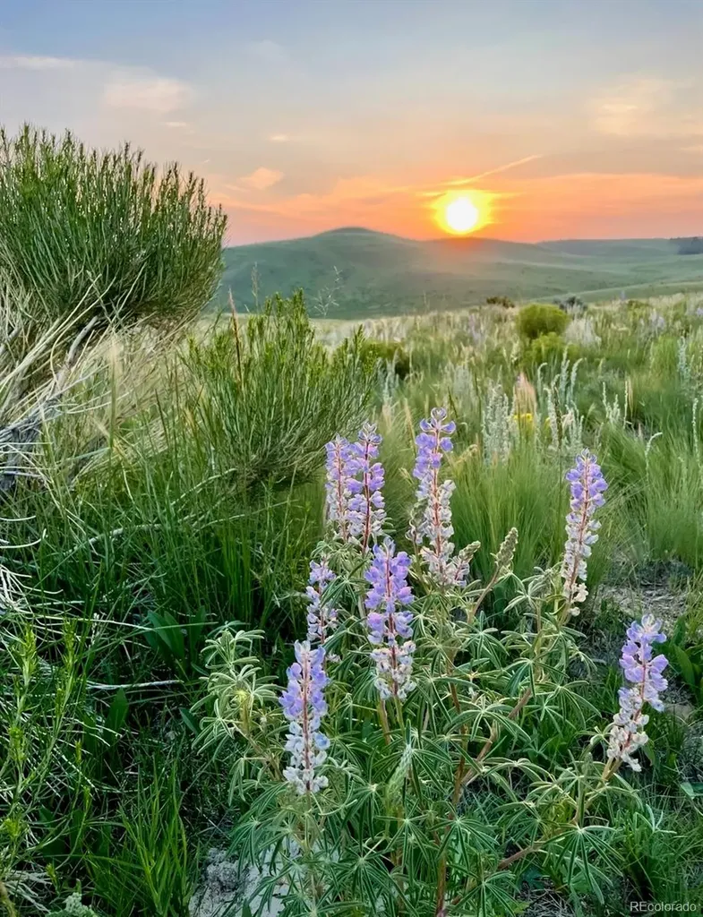 5200 Electric Westcliffe CO 81252