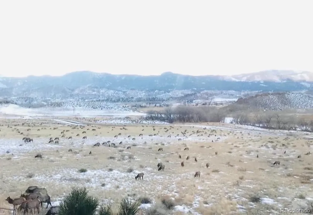 14 Rocky Mountain Road Loveland CO 80538