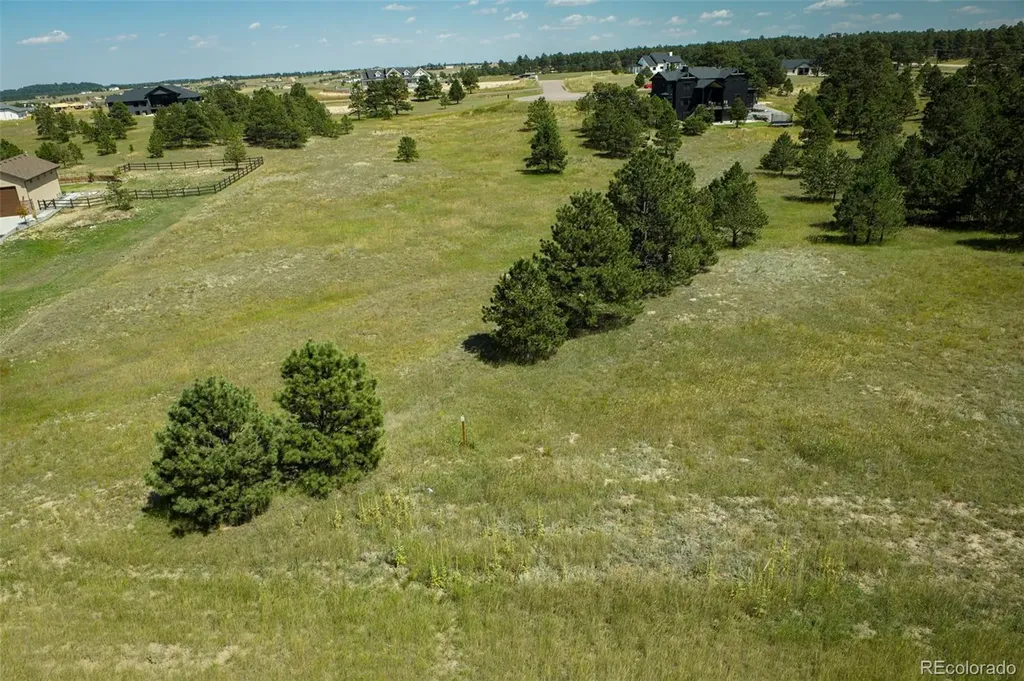 11556 Bison Meadows Court Colorado Springs CO 80908