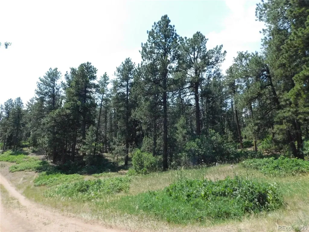 4480 Delaware Drive Larkspur CO 80118
