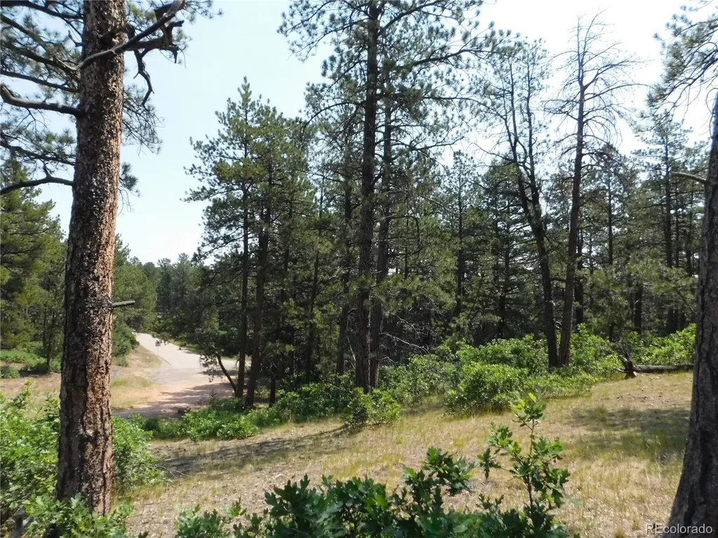 4480 Delaware Drive Larkspur CO 80118
