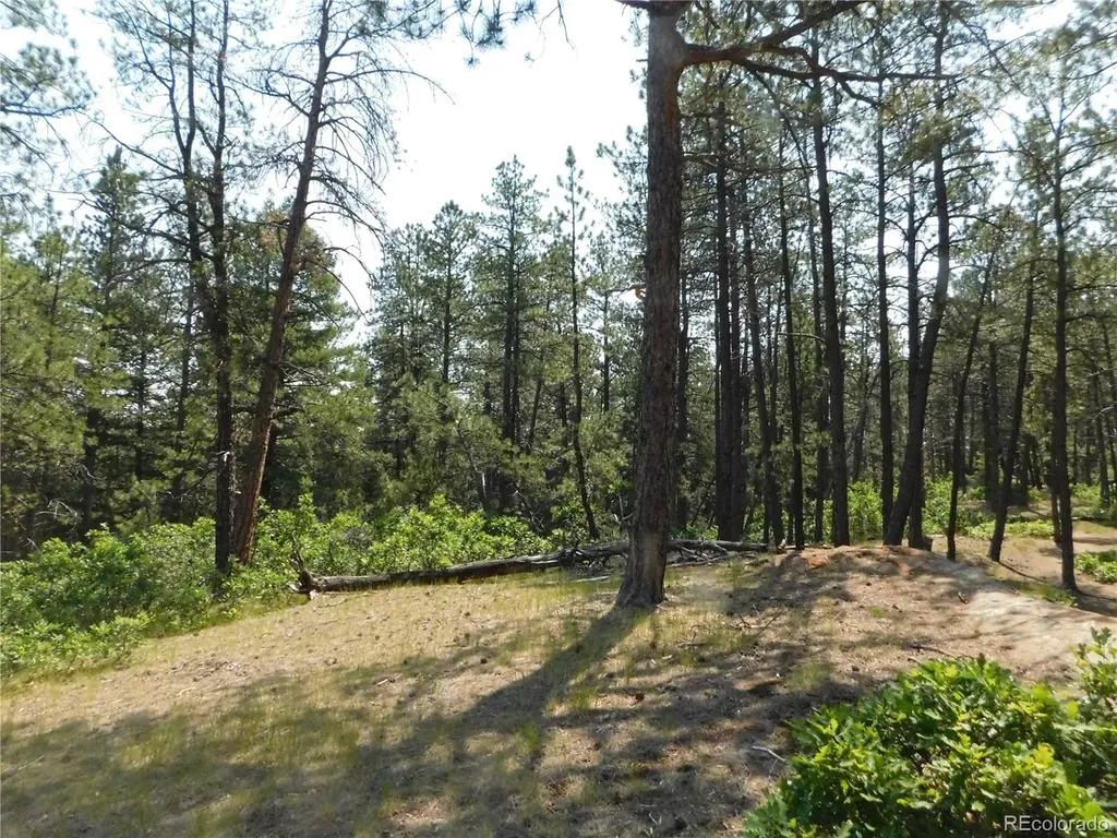 4480 Delaware Drive Larkspur CO 80118