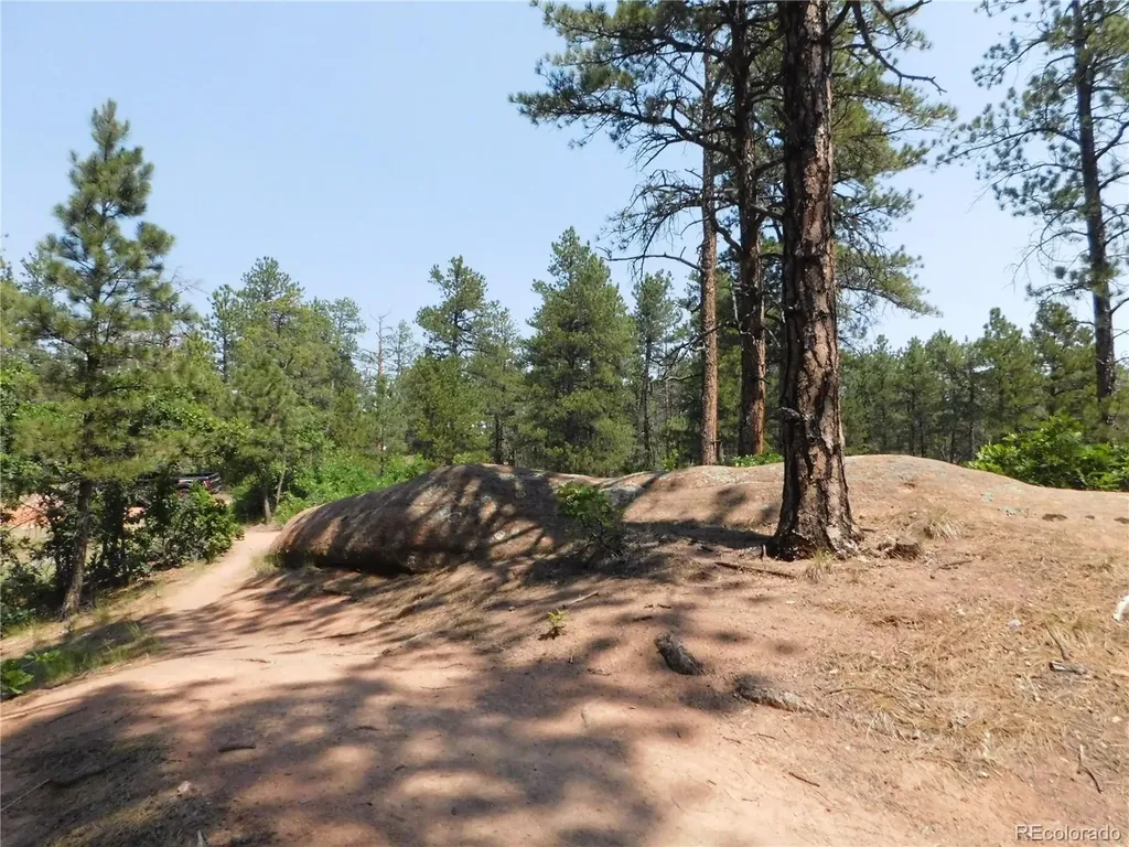 4480 Delaware Drive Larkspur CO 80118