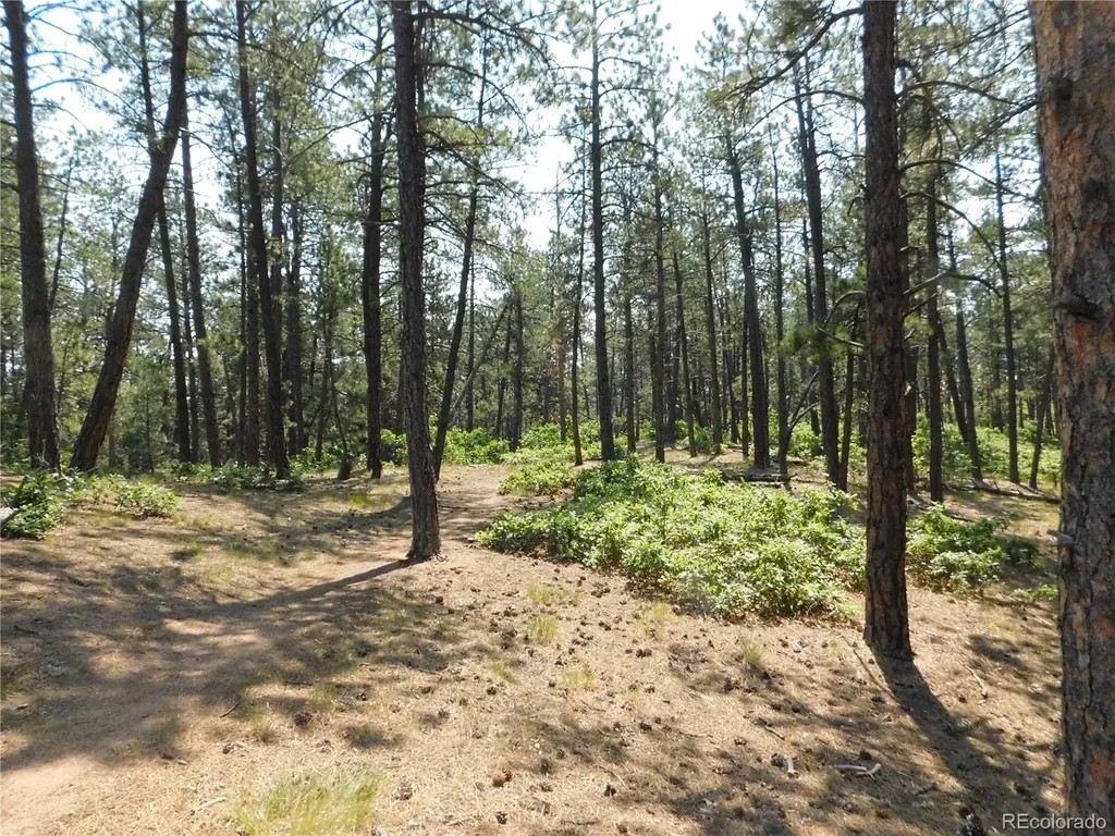 4480 Delaware Drive Larkspur CO 80118