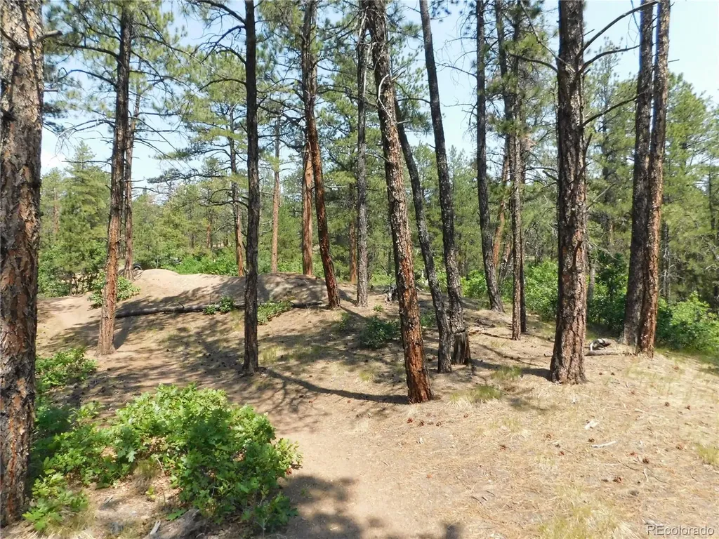 4480 Delaware Drive Larkspur CO 80118