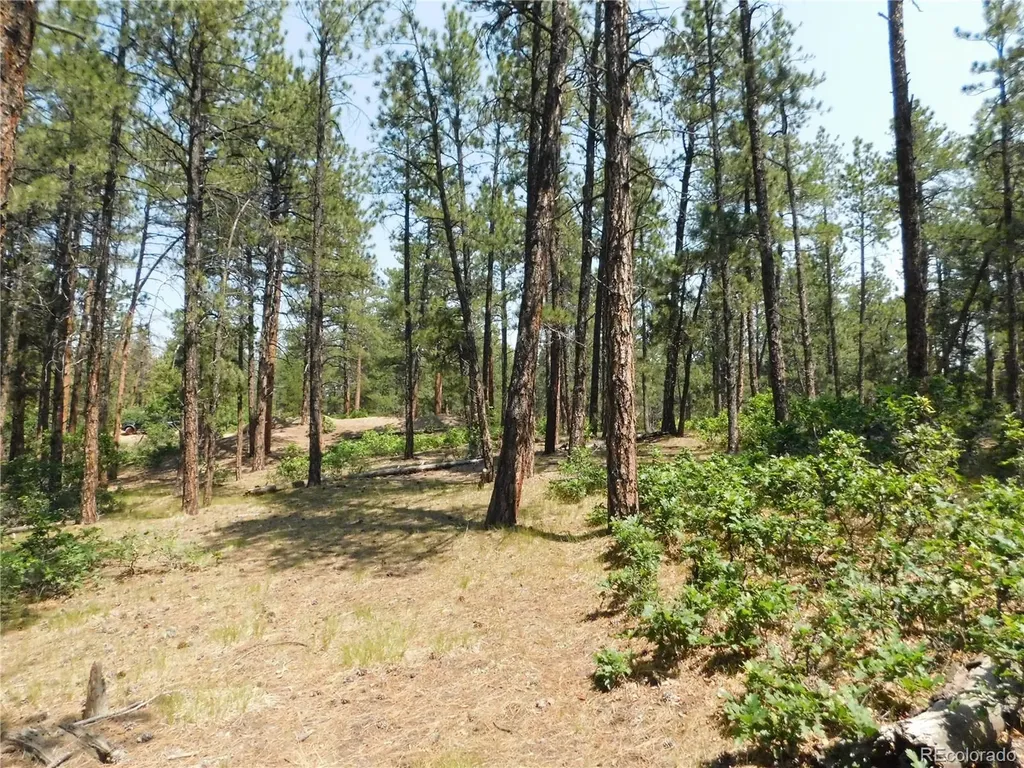 4480 Delaware Drive Larkspur CO 80118