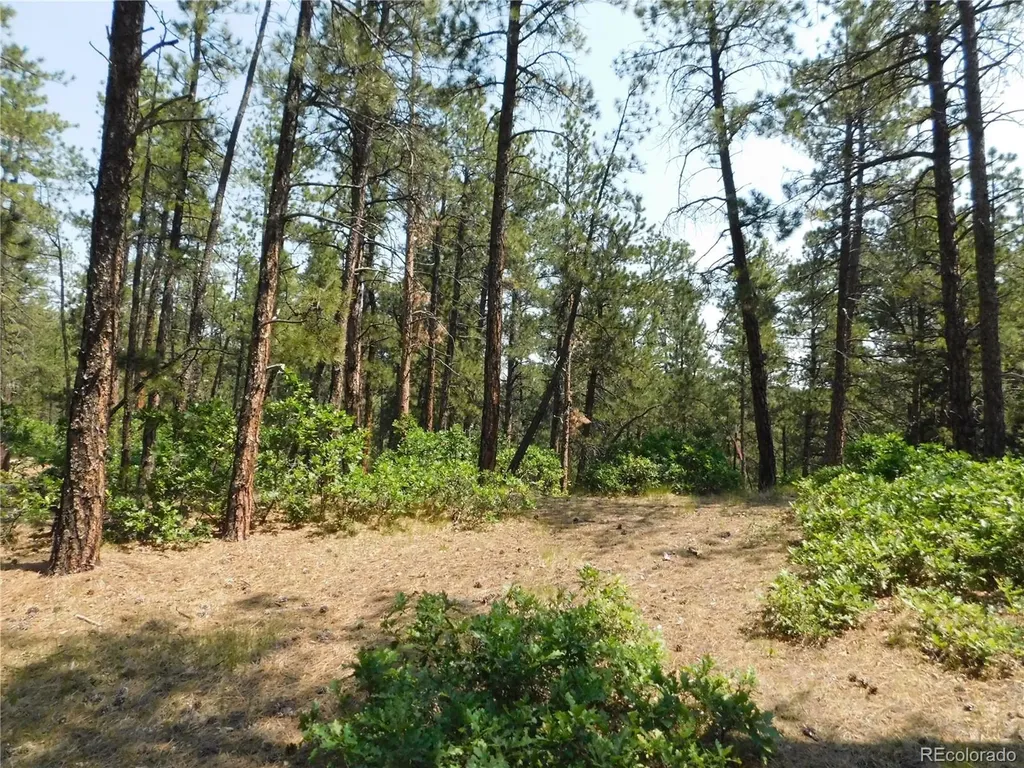 4480 Delaware Drive Larkspur CO 80118