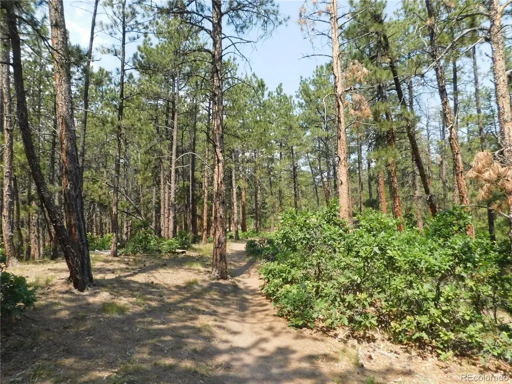 4480 Delaware Drive Larkspur CO 80118
