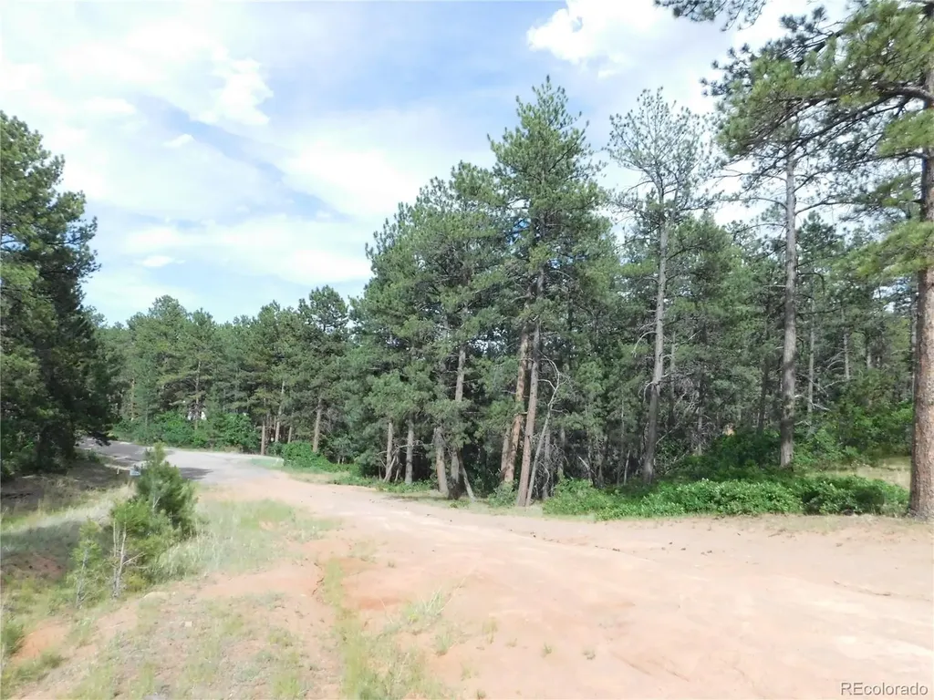 4480 Delaware Drive Larkspur CO 80118