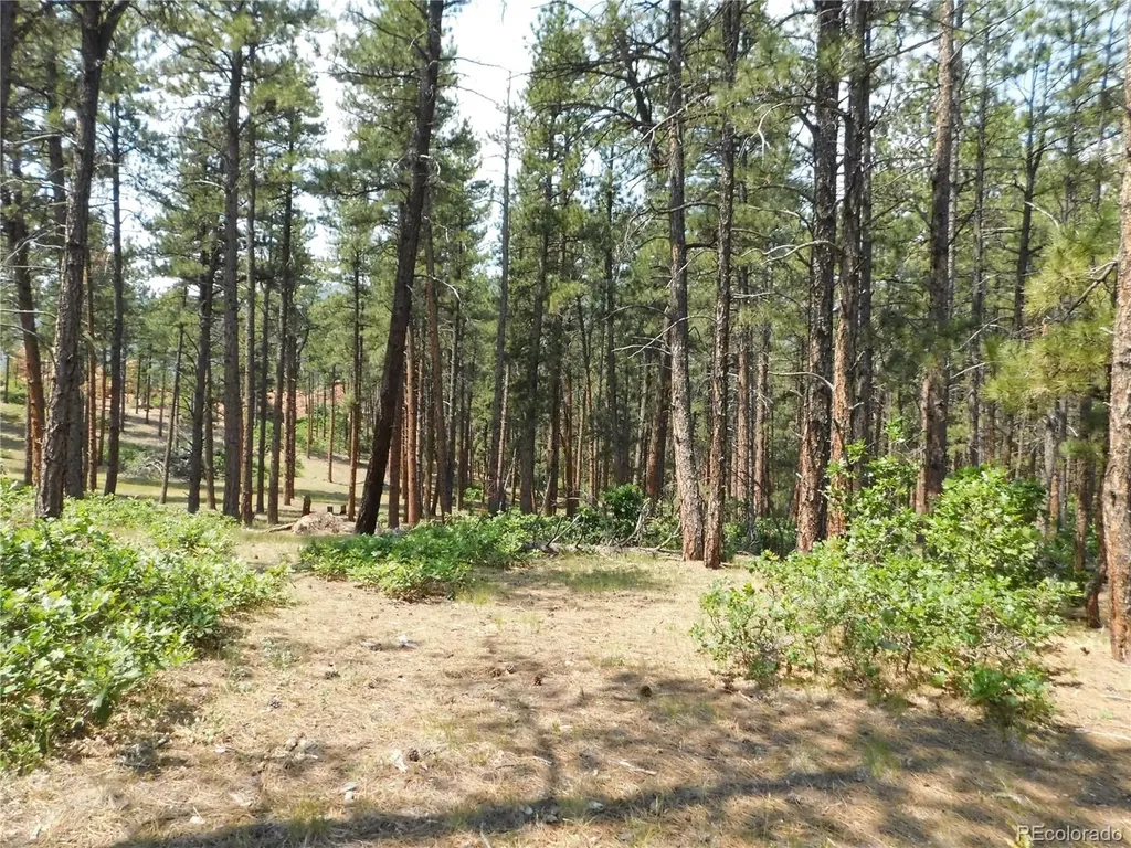 4480 Delaware Drive Larkspur CO 80118