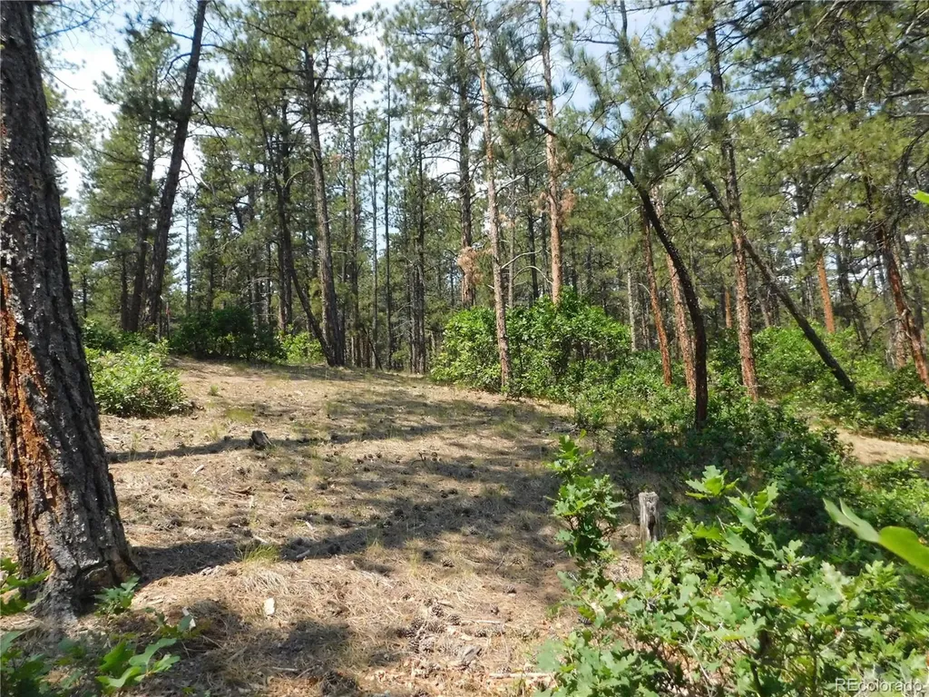 4480 Delaware Drive Larkspur CO 80118